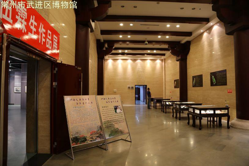 今起区博物馆对外开放（试运行）