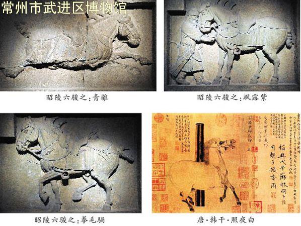 马到成功 ——马年说马