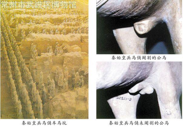 马到成功 ——马年说马