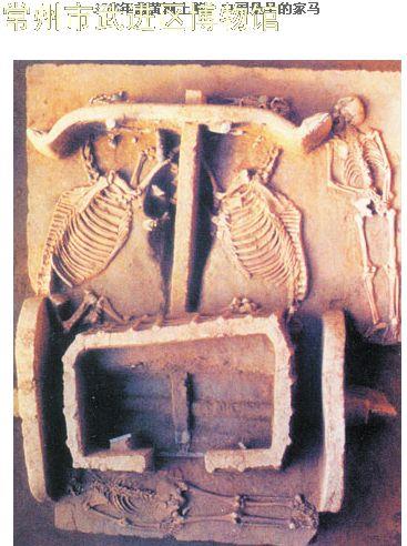 马到成功 ——马年说马