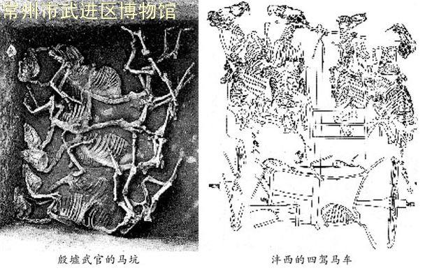 马到成功 ——马年说马