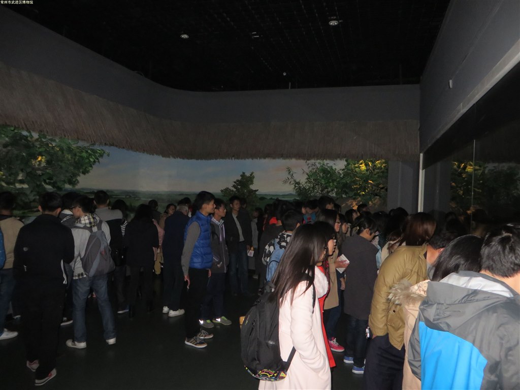 常州大学、江苏理工学院志愿者走进武进博物馆