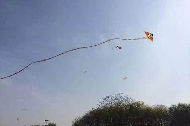 常州市武进区第二届少儿艺术节 “放飞中国梦”武博清明风筝节活动