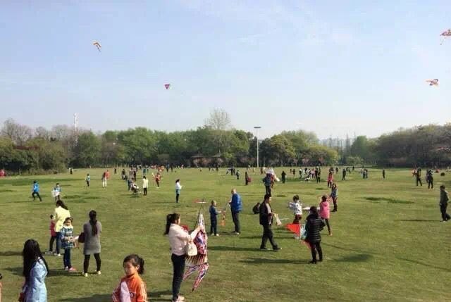 常州市武进区第二届少儿艺术节 “放飞中国梦”武博清明风筝节活动