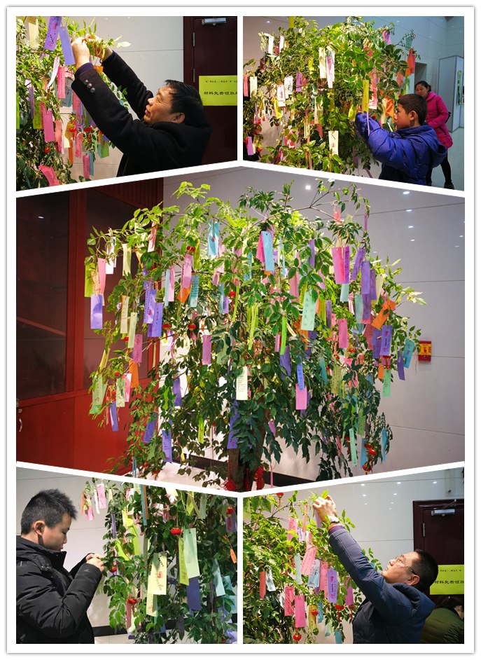 缤纷冬日——“我在武博过大年”系列活动火热开展