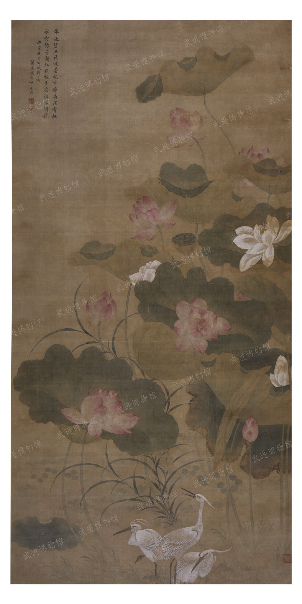 5恽源成荷花图轴.jpg