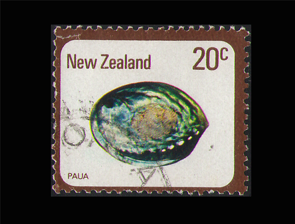 8、新西兰鲍(新西兰,1975).png 8、新西兰鲍(新西兰,1975).png