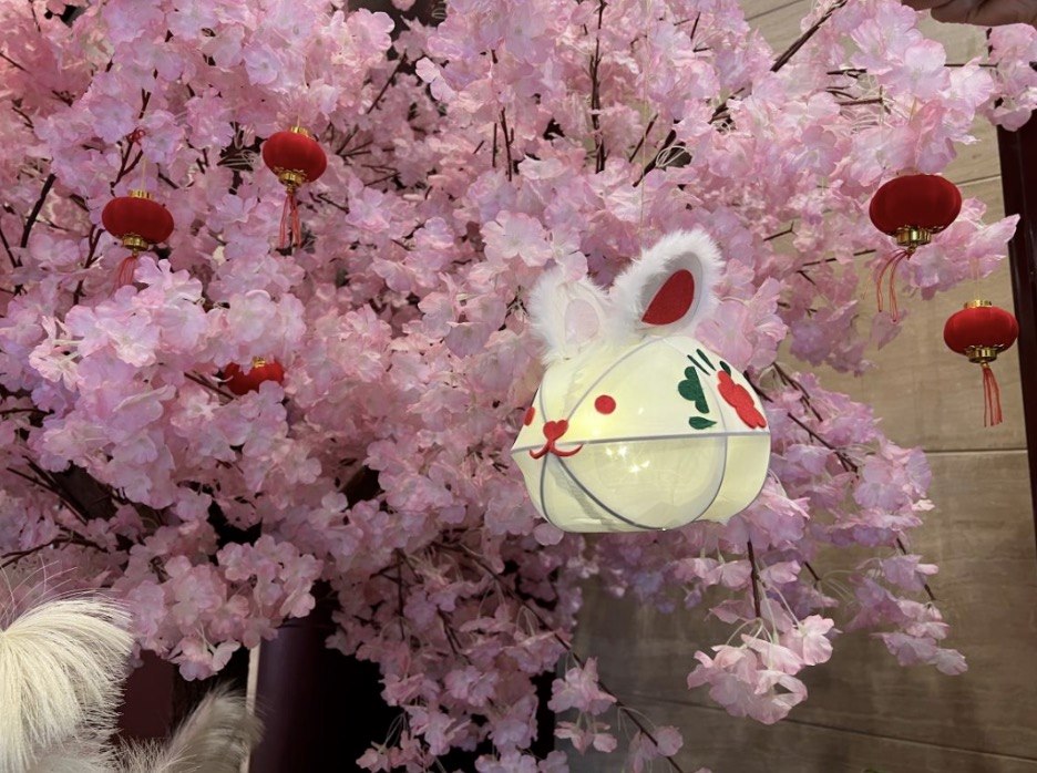 1706075786951.jpg 1706075786951.jpg