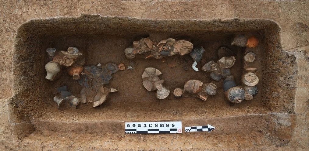 图片8.jpg 图片8.jpg