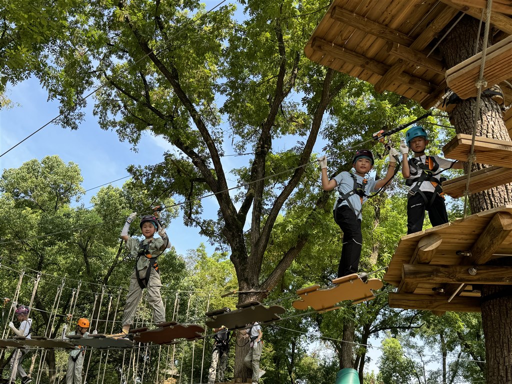 图片1.jpg 图片1.jpg