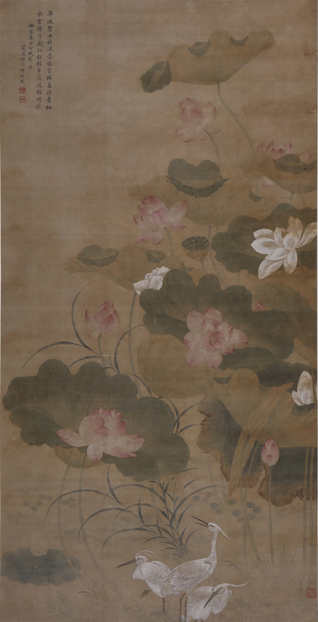 清 恽源成荷花图轴.jpg 清 恽源成荷花图轴.jpg