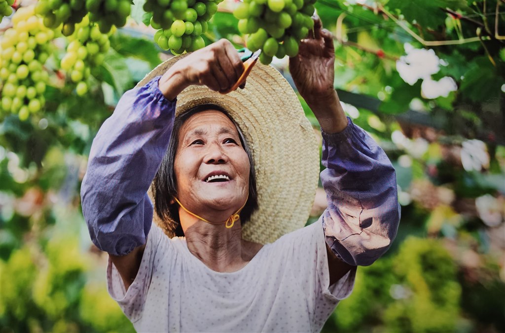 微信图片_20240909144037.jpg 微信图片_20240909144037.jpg