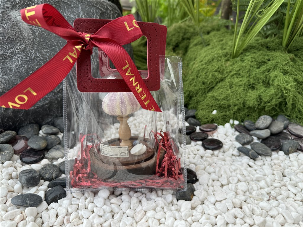 图片7.jpg 图片7.jpg